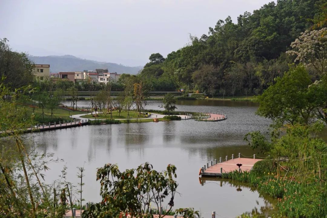 新兴龙潭湖湿地公园图片