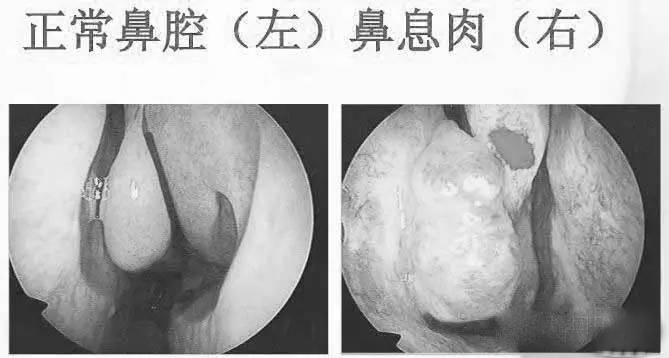 首大眼耳鼻喉医院