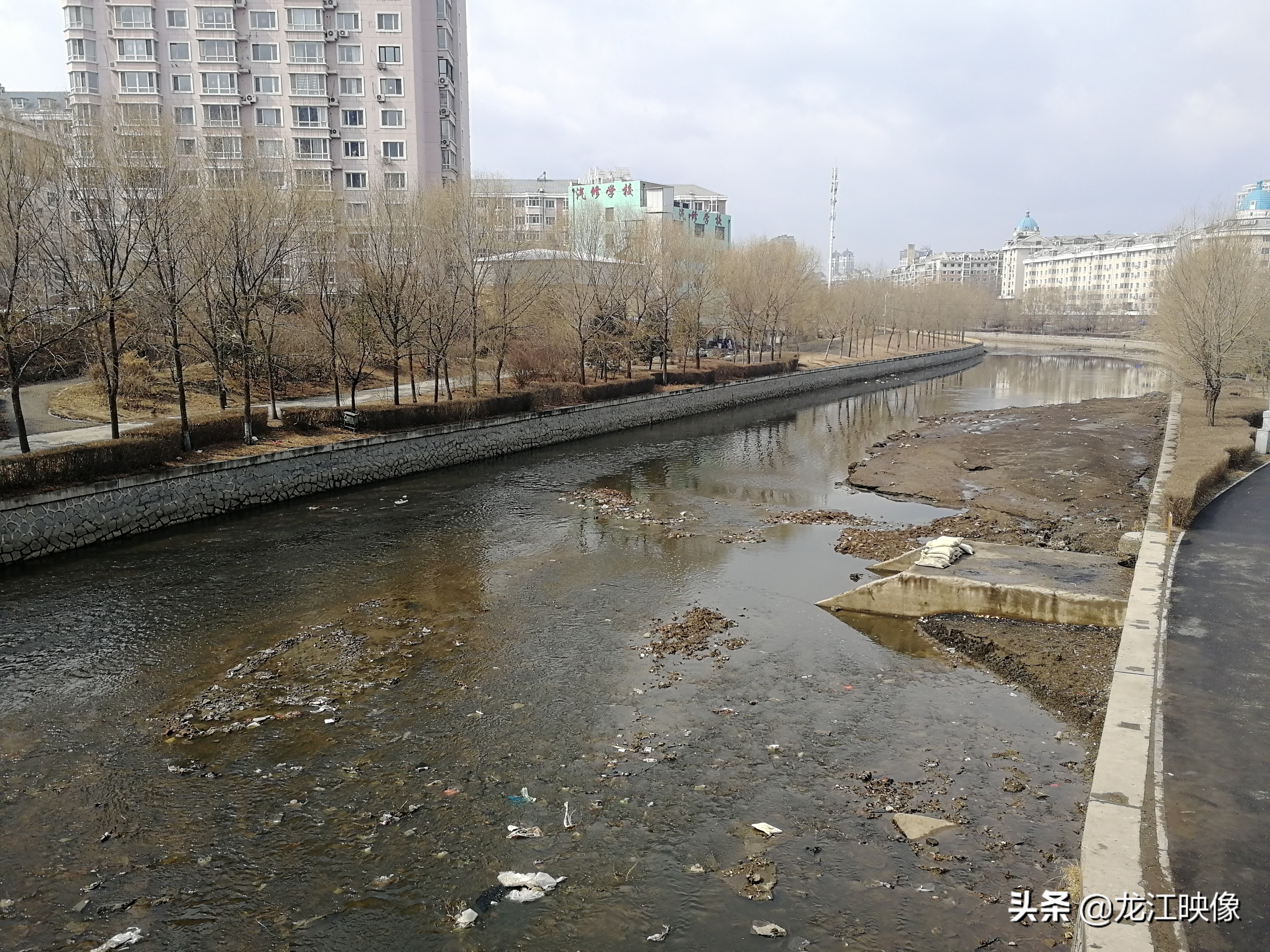 景色挺美,大片的淤泥煞风景 哈尔滨市道里区工农大街附近的何家沟已经