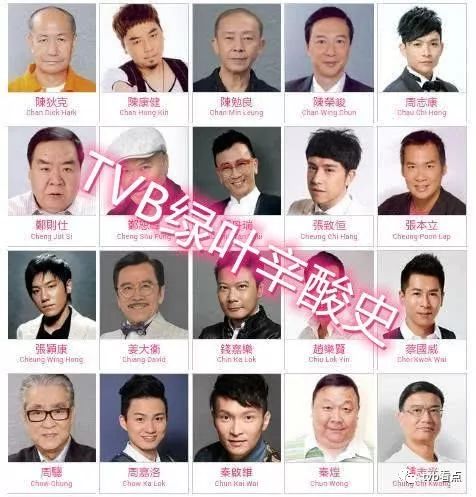 tvb绿叶男演员列表图片