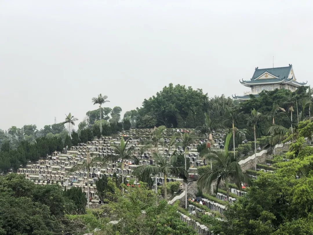 而是人潮洶湧的各大墓園不是景區深圳哪裡人最多?