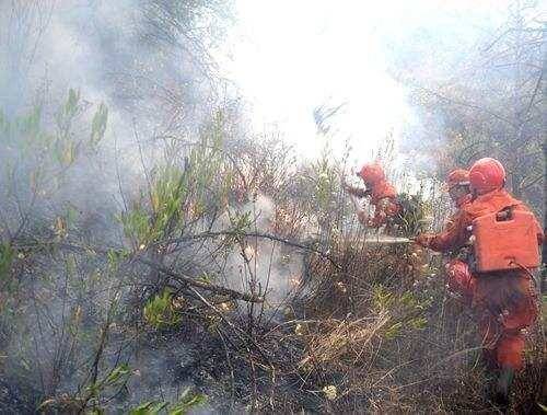 四川涼山英雄救火事件讓人聽著都寒心