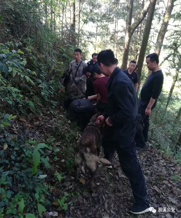 抓住了!辰溪警方24小时内成功抓获命案嫌疑人