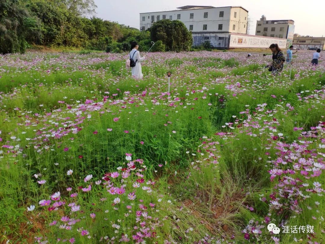 探「三月三」美食節,訪沙琅新城公園,賞怡景花海_美食街