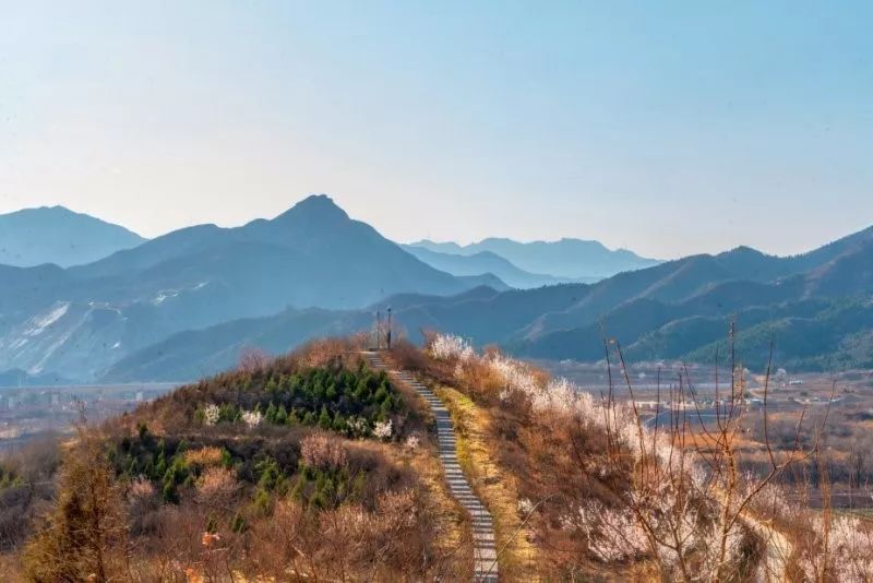 壁纸说 清明春色醉,和你一起道尽北化春风_赵翌旭