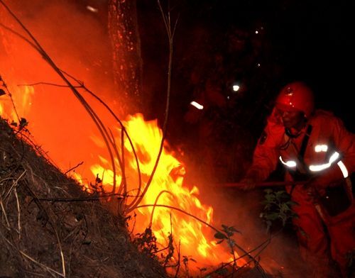 四川涼山英雄救火事件讓人聽著都寒心