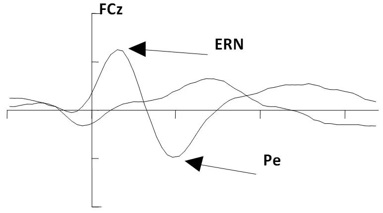 腦電圖中的2個信號:ern(錯誤相關負電位)和pe(錯誤正波).