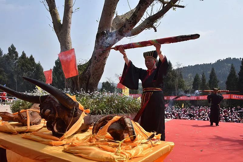 南充弋氏宗親第三屆清明祭祖盛會暨孝老敬親優秀學生表彰會