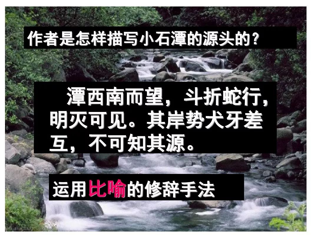 應對第二單元恐龍無處不有被壓扁的沙子第三單元10,小石潭記11,核舟記