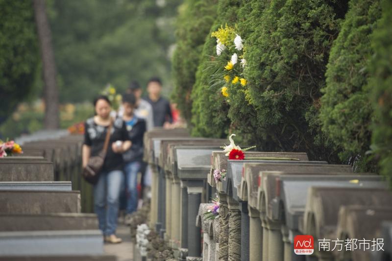 南都记者从广州市民政局了解到,清明小长假三天,广州市各拜祭场所共