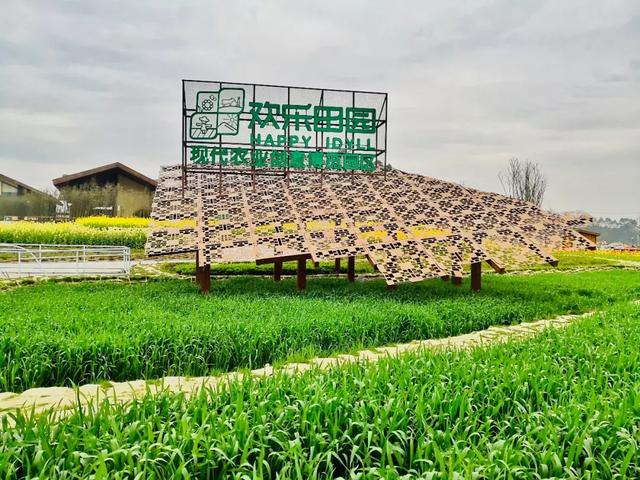 休闲农业乡村旅游双流这个地方火遍成都原来是因为这些