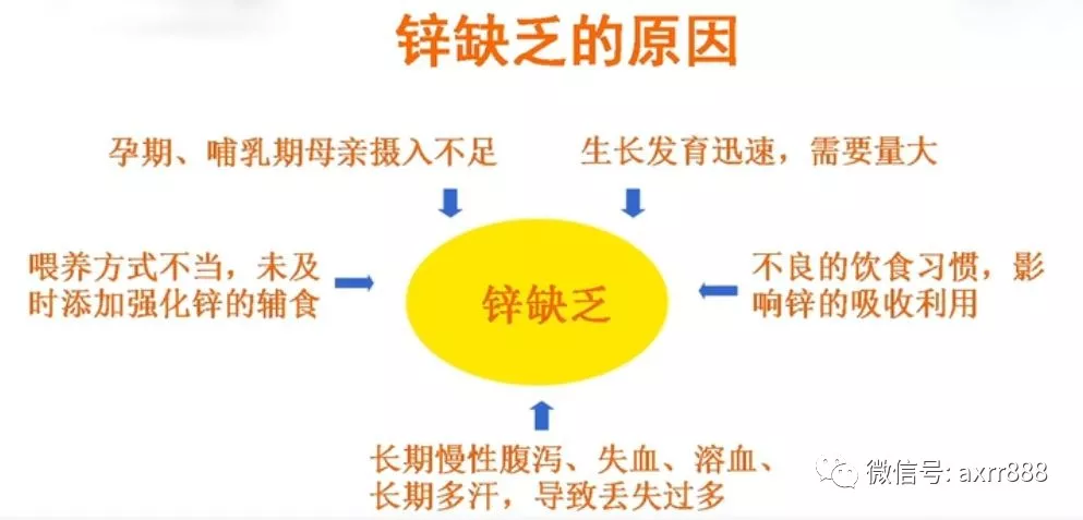 锌与儿童生长发育期的健康关系