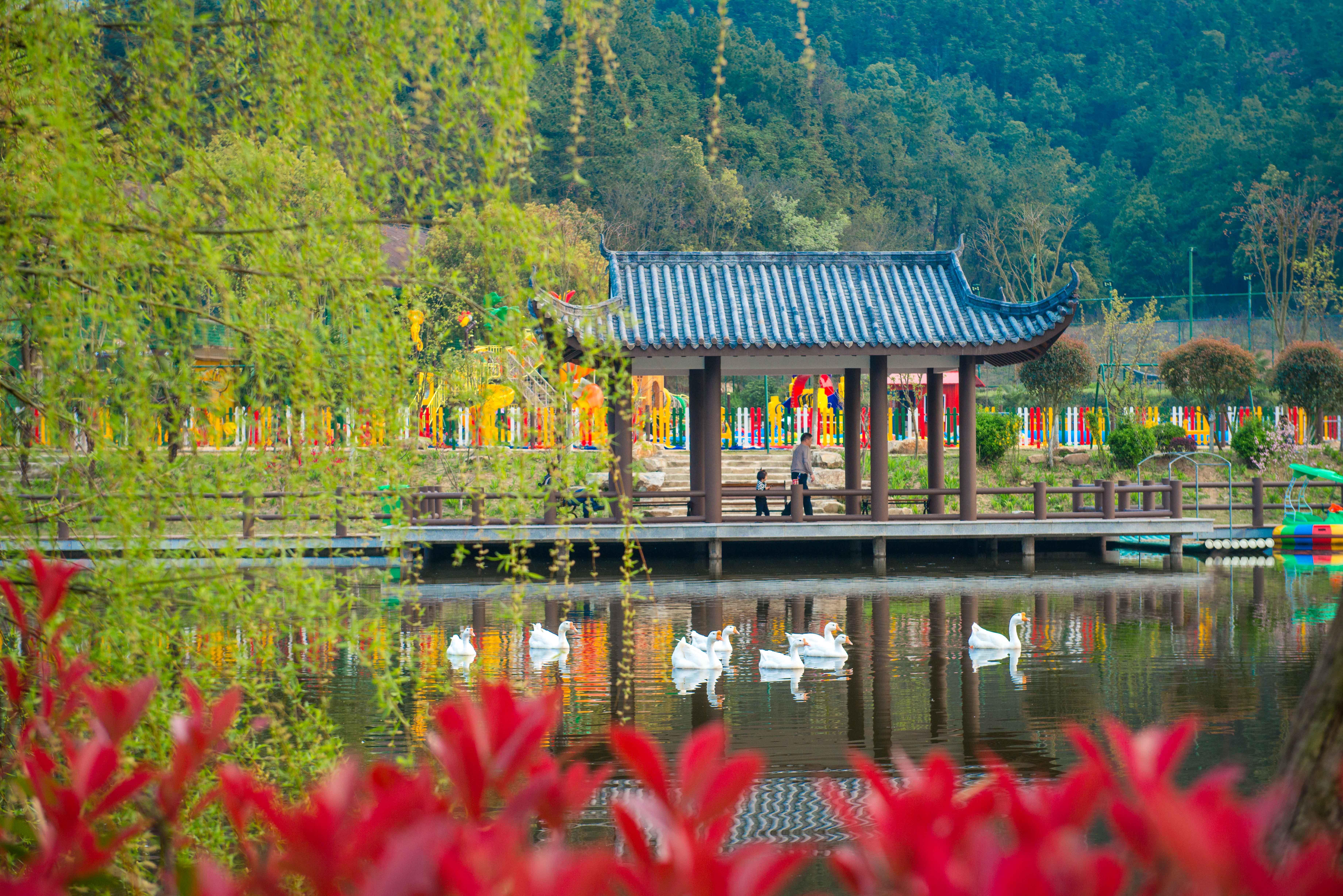 黄陂野村谷景区图片