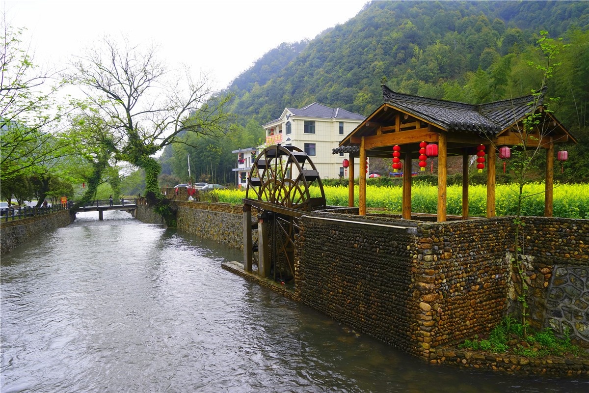 金山廊下镇山塘村图片