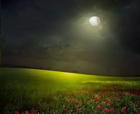 萨克斯草原的月亮图片