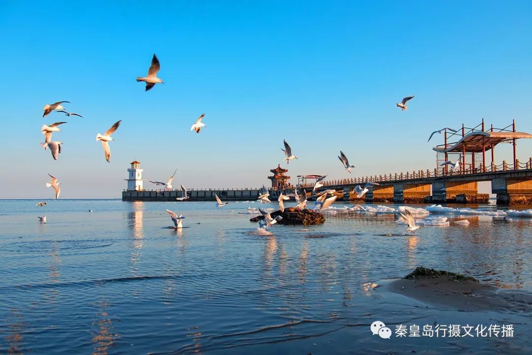 秦皇岛风景 真实图片