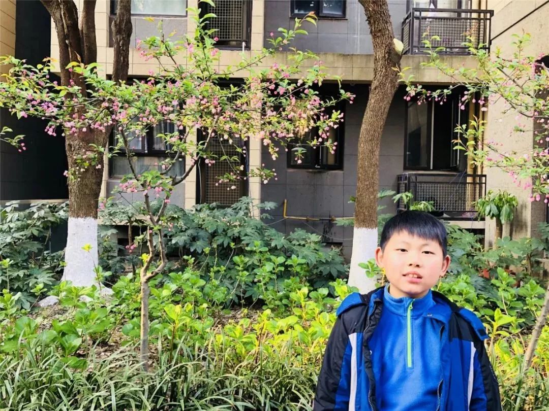 海棠花佘昱杰11我身旁的这丛花,叫二月兰.为什么叫二月兰呢?