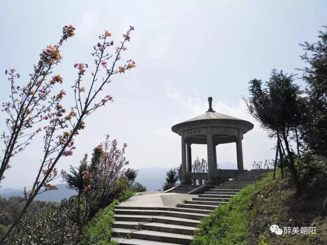 平阳朝阳山景区图片