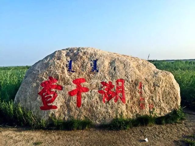 对青山镇花之语养息谷(对青山花之语庄园门票多少钱)