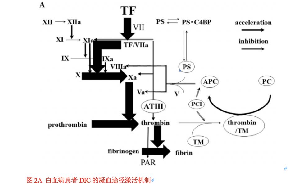 瀰漫性血管內凝血:檢測和診斷