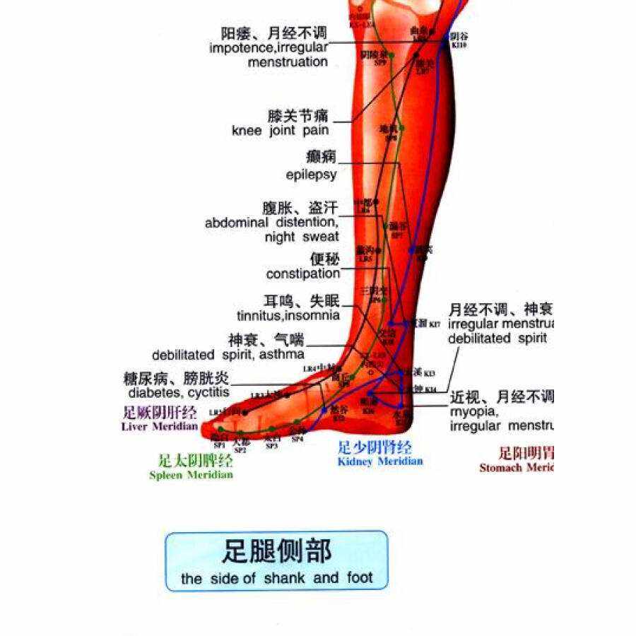 爱丽丝教你从双腿的变化中看出隐藏的疾病