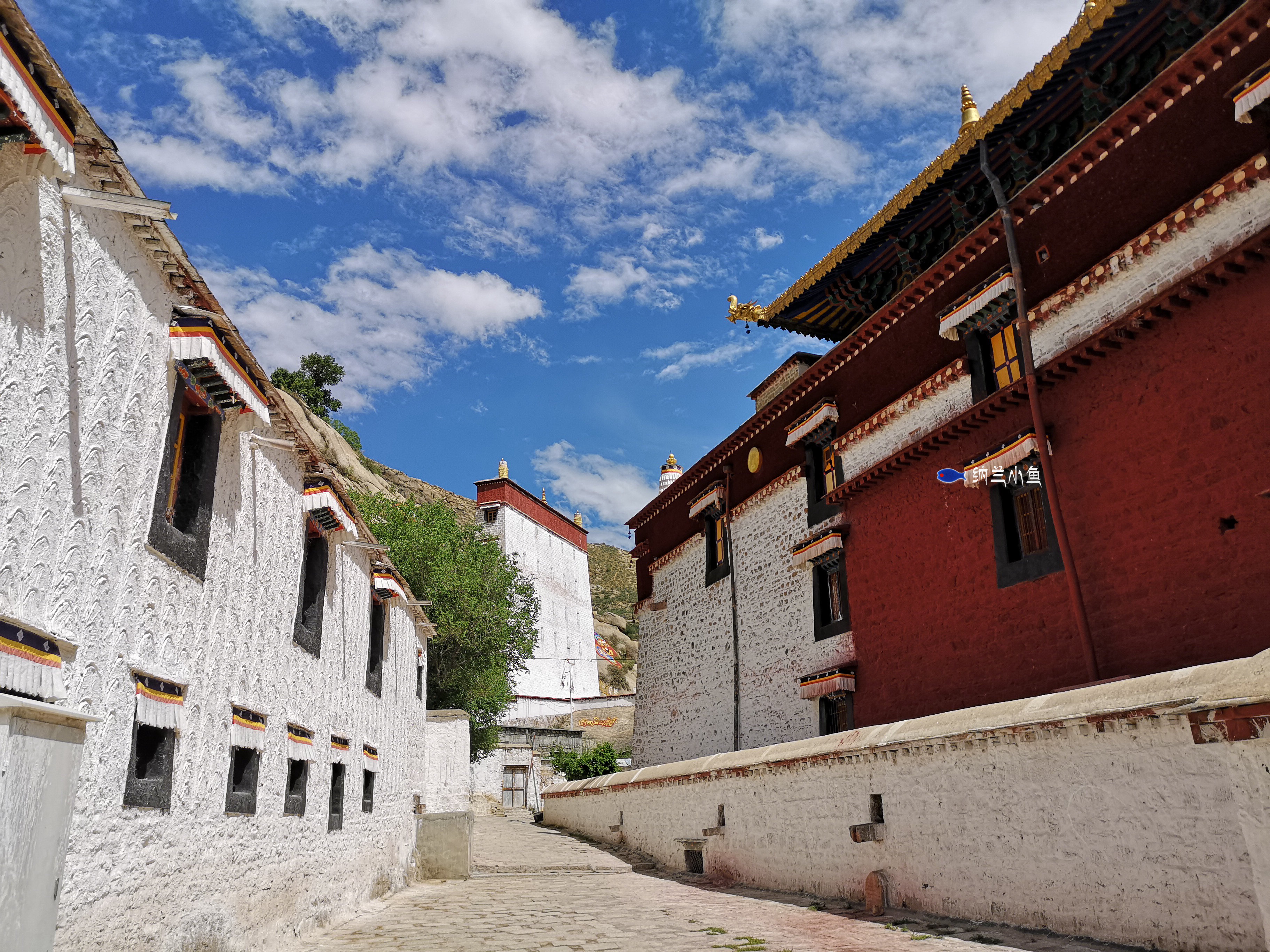拉萨色拉寺 西藏最漂亮的寺院 汇聚了世间最浓烈的色彩