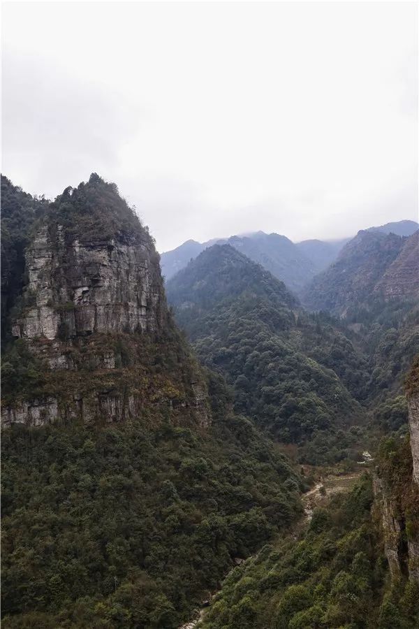 必又要到貴州旅遊熱潮迭起的季節了不如這個春天就到獨山夾縫巖吧~ps