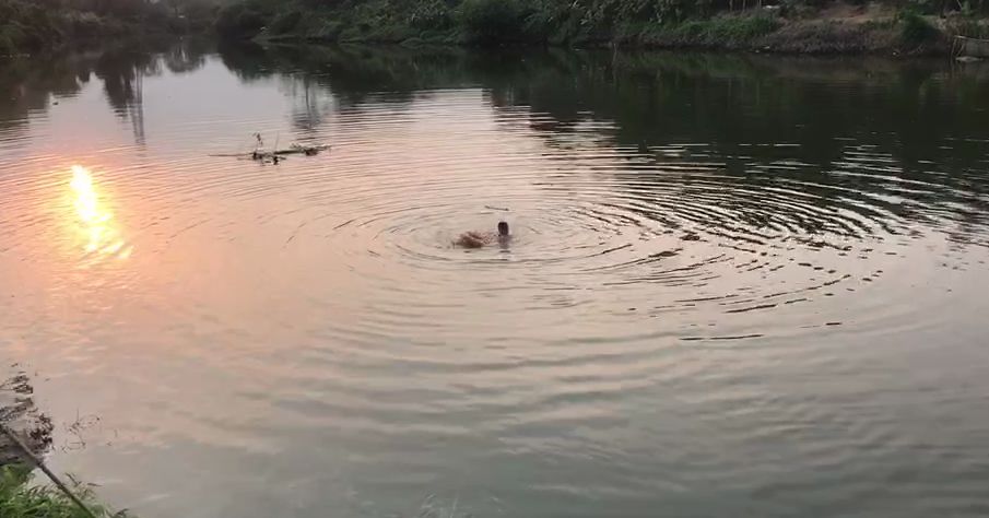 河里淹死人图片图片