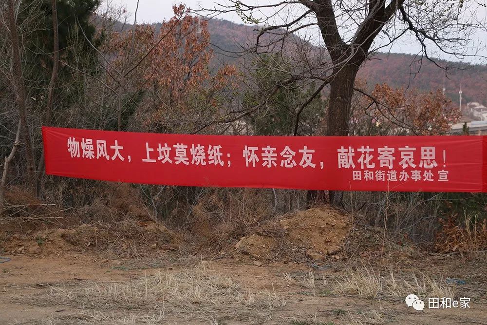 田和街道办事处零火情600余名干部群众严防死守奋战在森林防火一线