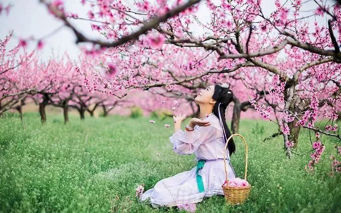 桃花節期間漢服免費穿聽說漢服和桃花更配哦~精彩助陣家庭過山車激情