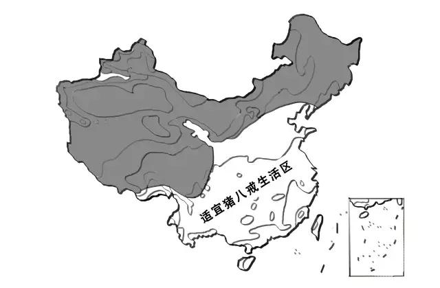 中国没占领韩国都是因为孙悟空