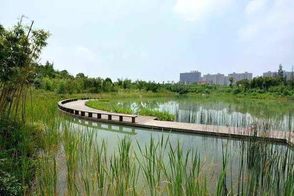 【啟德·華府】宅藏城芯,境啟自然,暢享都市園居生活