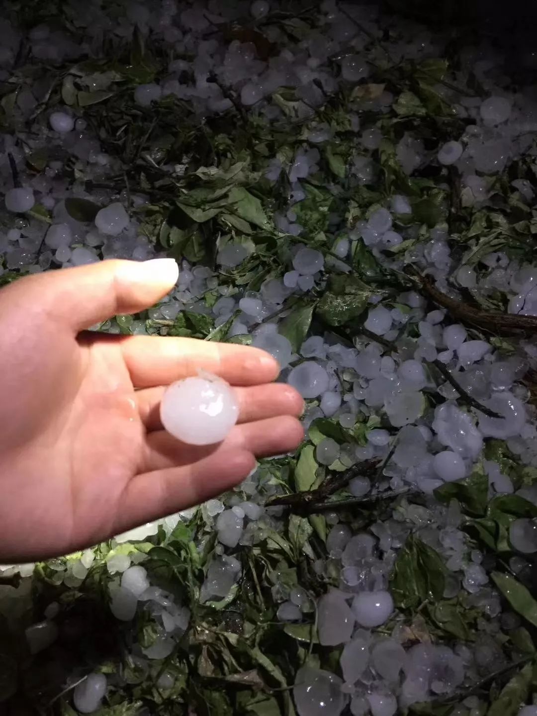 夜晚下冰雹图片图片