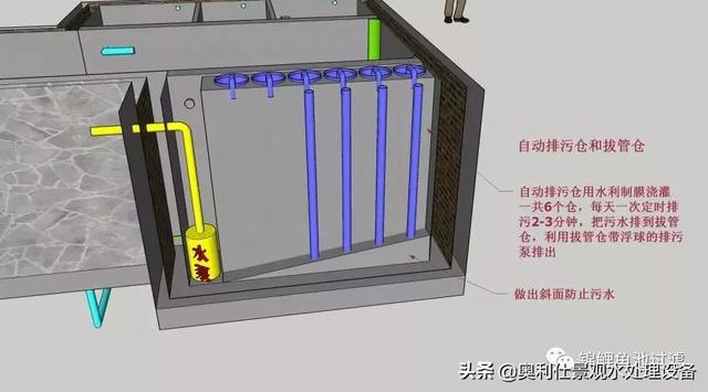 圖解30噸魚池過濾系統的設計原理