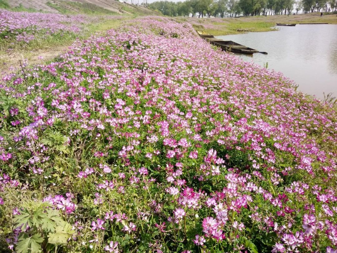 湘阴猫形山风景区图片