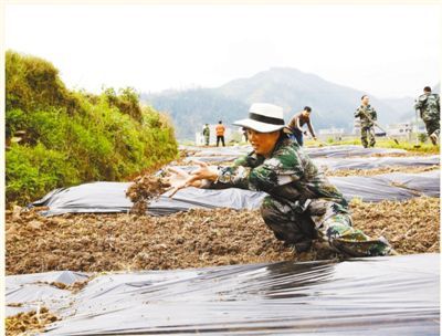 贵州省榕江忠诚镇有多少人口_榕江栽麻镇高硐村