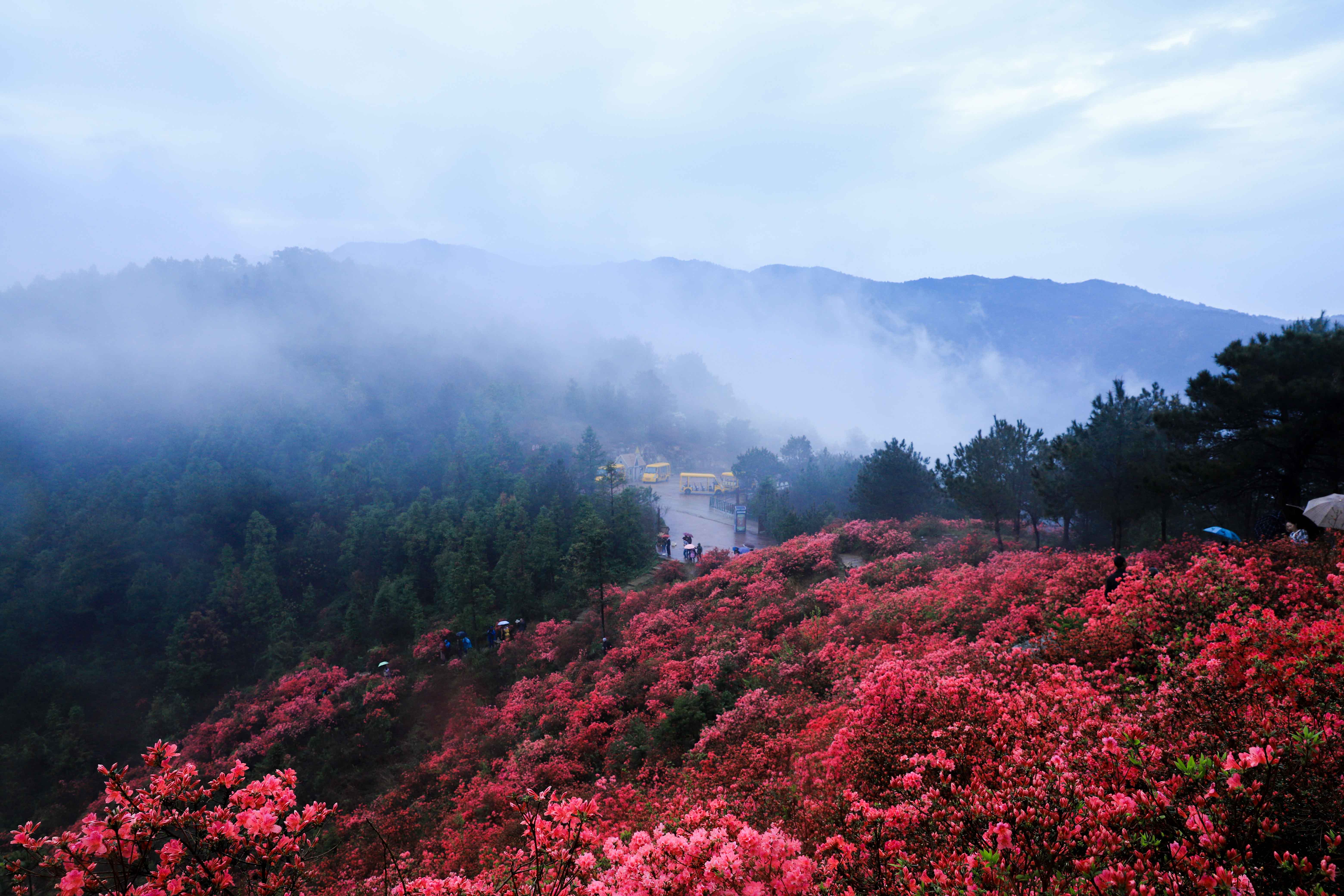 汉中勉县云雾山风景区图片