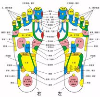 脚上胃部的位置图图片