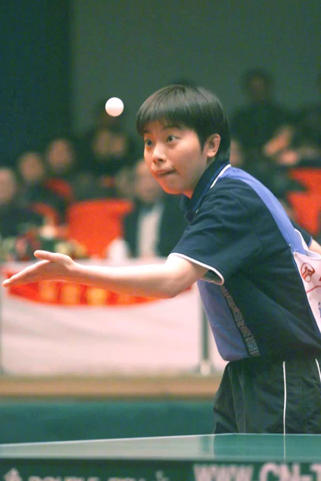 杨影 江苏,1977,获世界冠军5次王楠 辽宁,1978,获世界冠军24次李菊