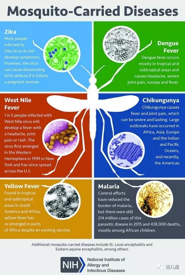 好多疾病通过蚊虫叮咬传播,如乙型脑炎,登革热,疟疾,黄热病,寨卡病毒