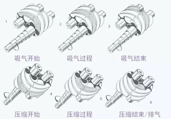 3d动画展示螺杆压缩机其机械原理