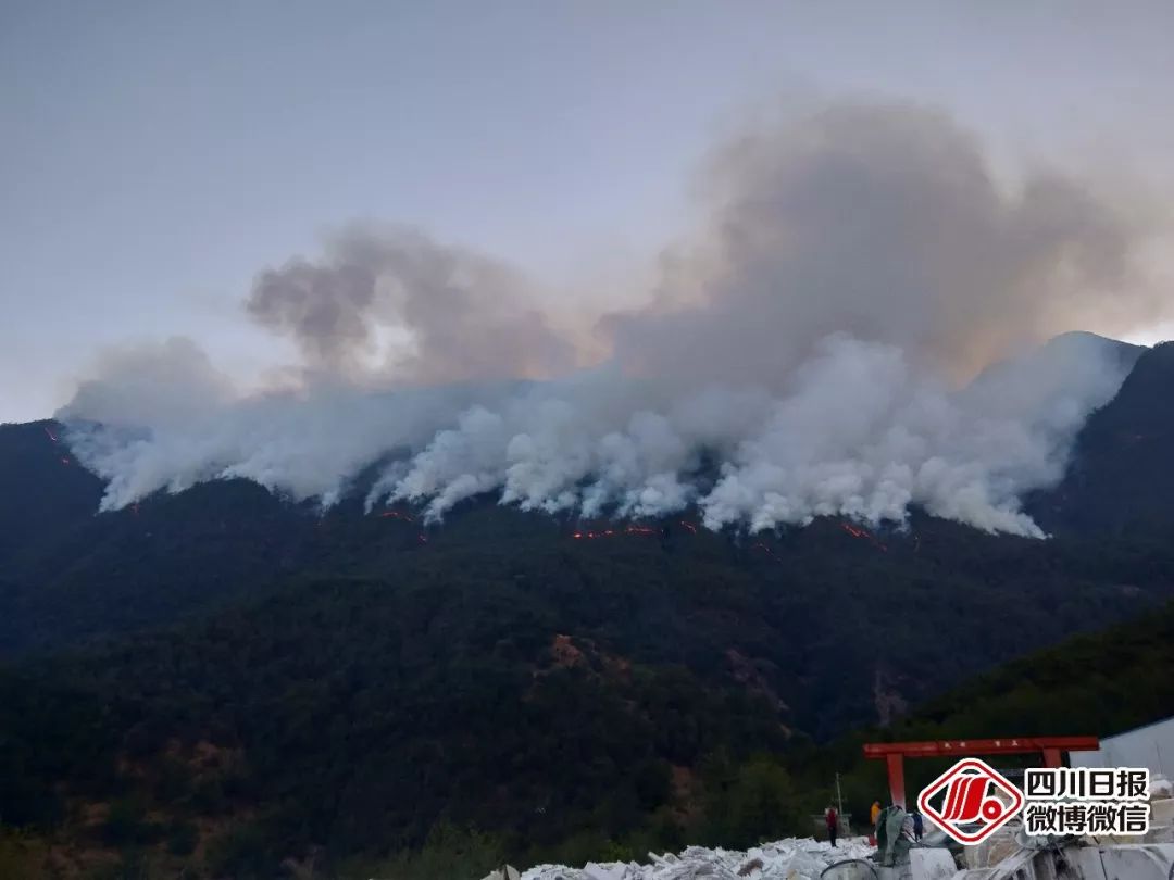 涼山三地連發森林火災!上千人參與撲救,全網網友盼平安!