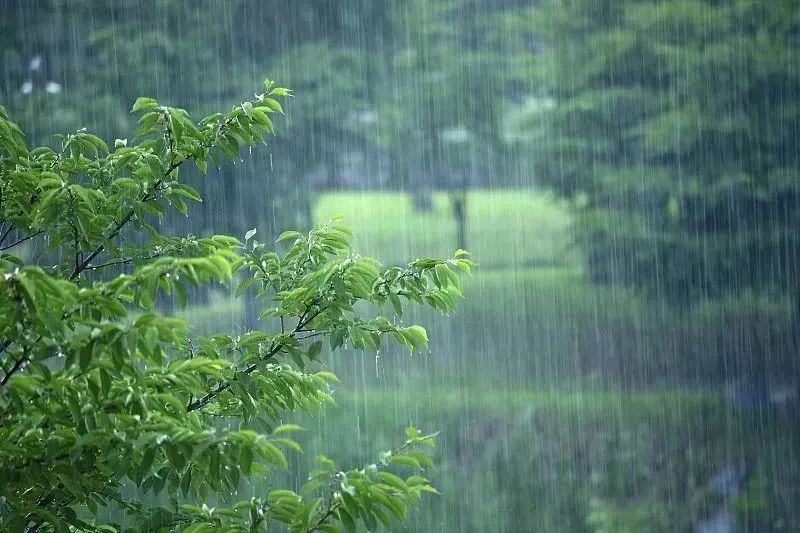 青田天氣大反轉!不止降溫,更崩潰的是雨雨雨