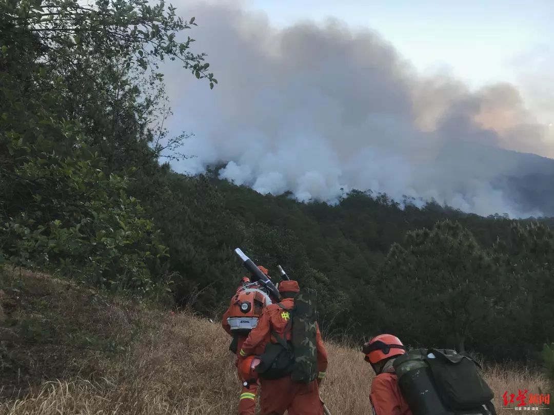 涼山三縣發生森林火災超千人投入撲救多圖視頻