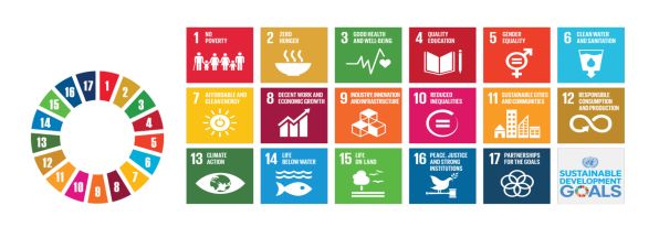 联合国可持续发展目标logo