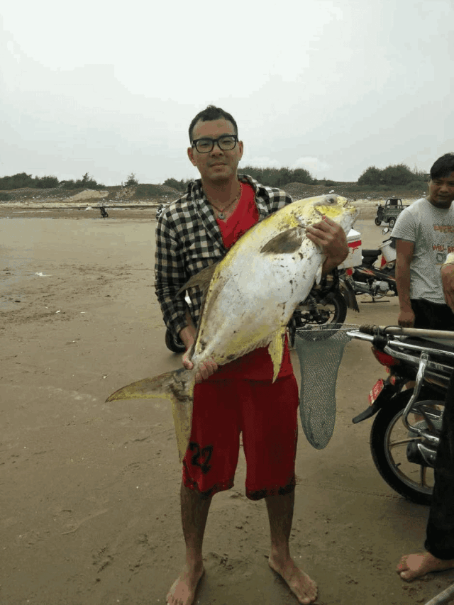 640_853竖版 竖屏gif 动态图 动图