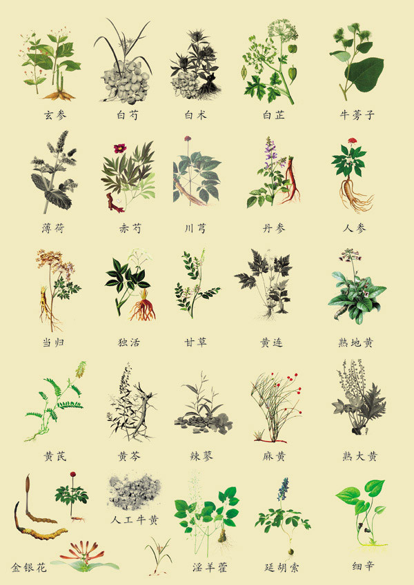 真正千古全才第一人原来是他