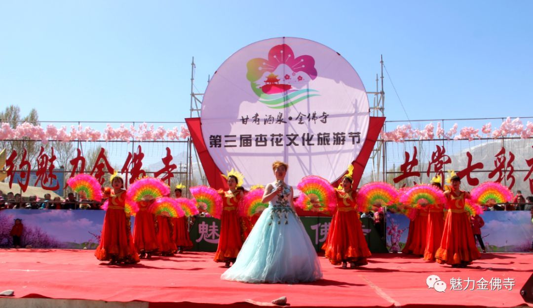 这个周末我在金佛寺杏花海里等你