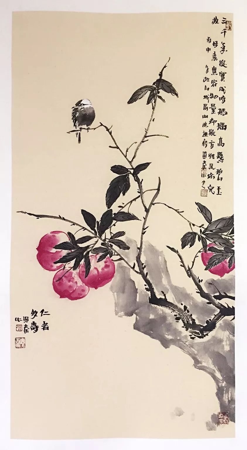 今日直播丨思秦