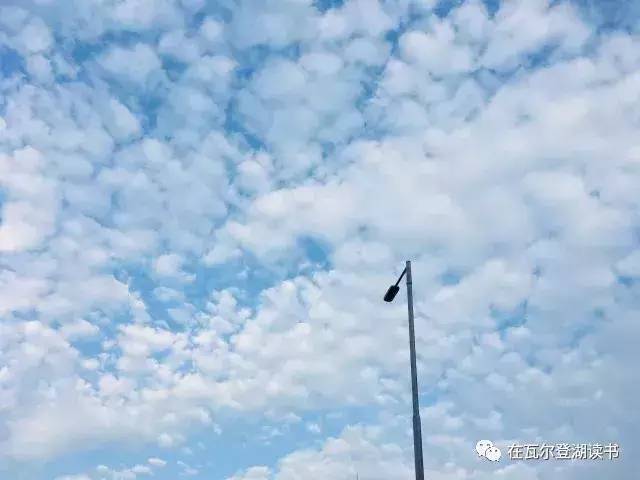 辛波斯卡我偏爱写诗的荒谬胜过不写诗的荒谬